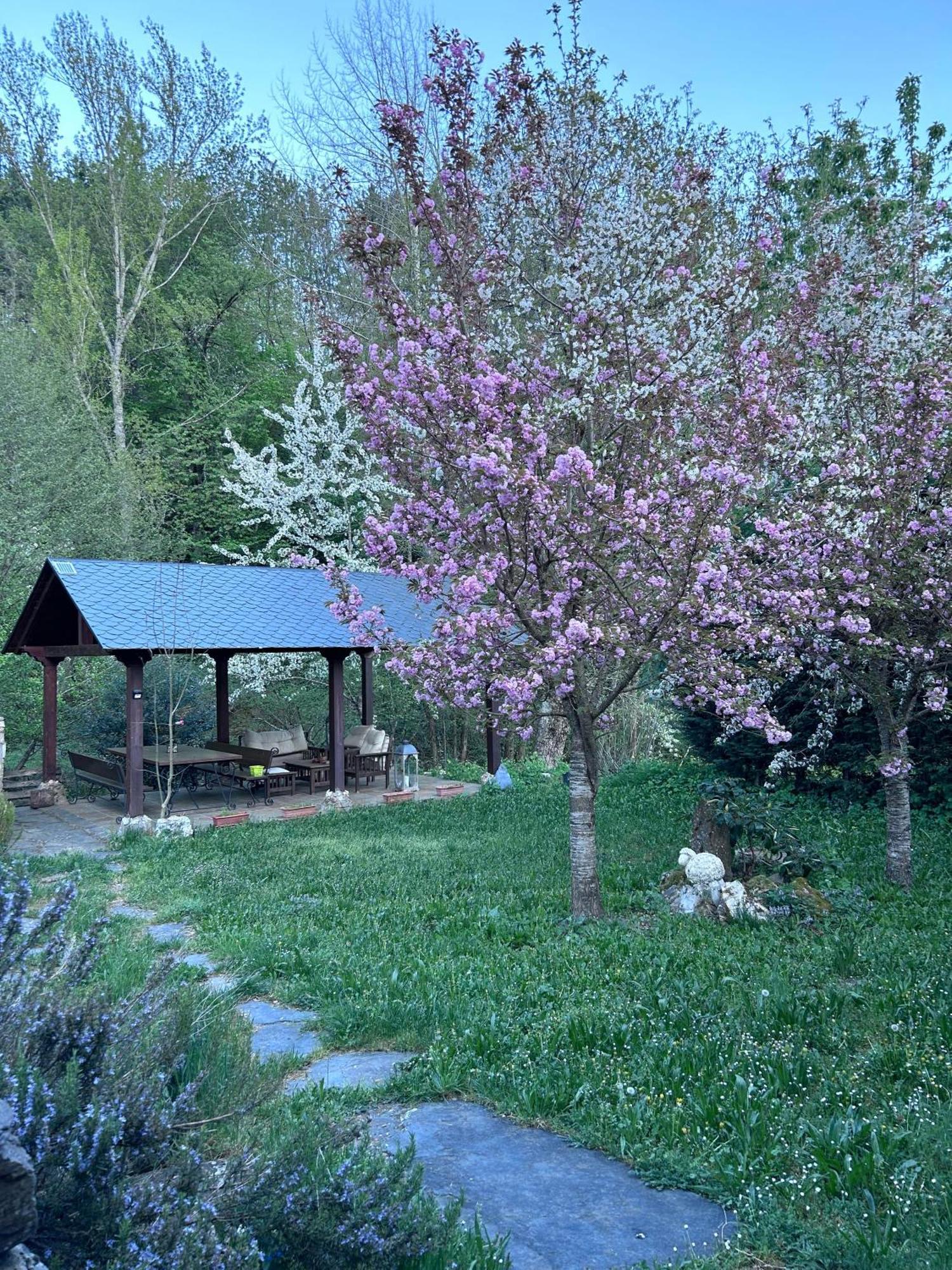 Casa Begona Villa Iguena Eksteriør bilde